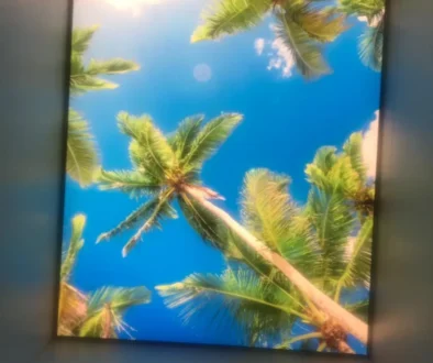 Lichtmehr-Sonderleuchtenbau-