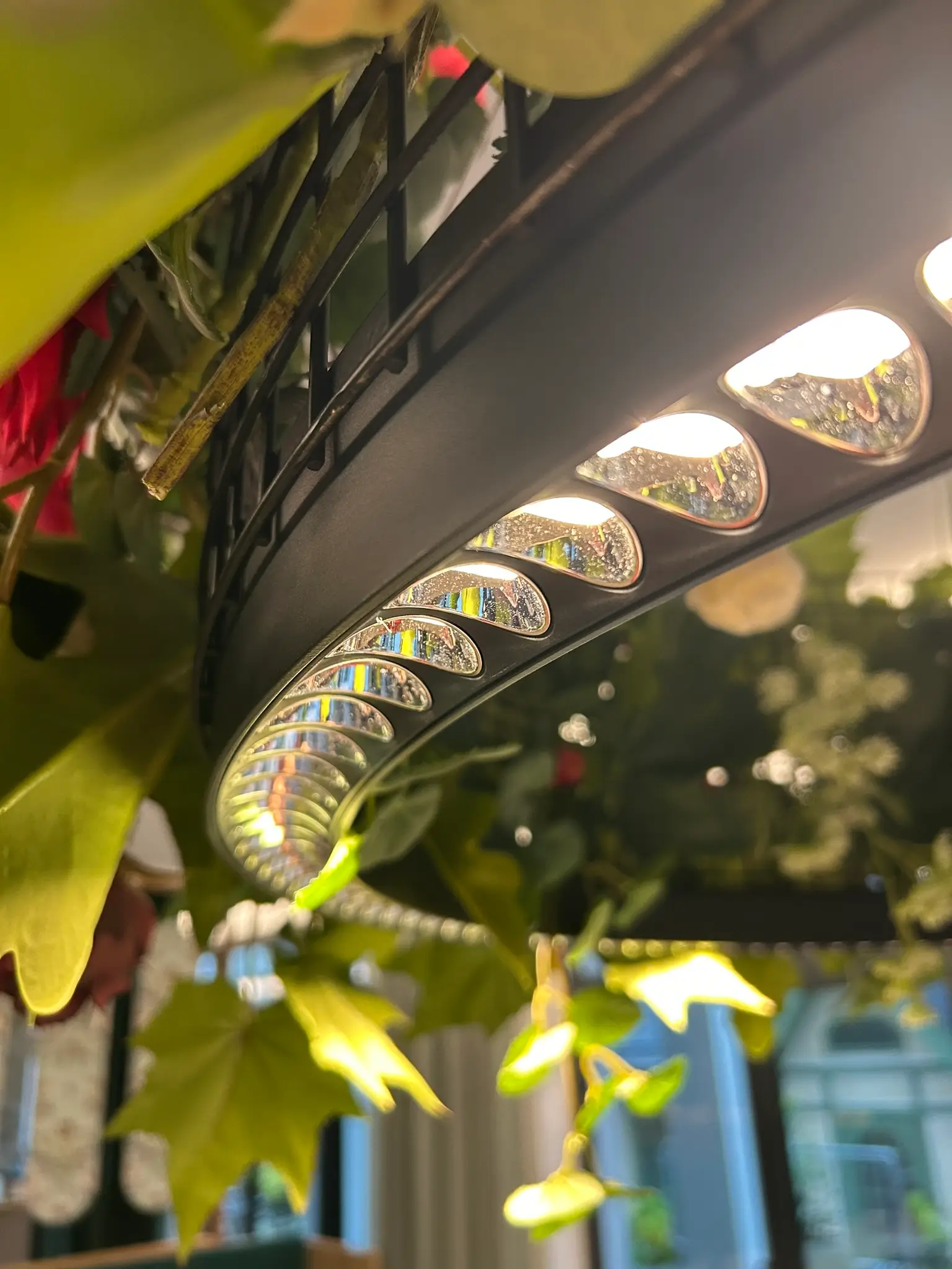 lichtmehr-grand hotel elisabeth-13 lichtmehr-grand hotel elisabeth-13